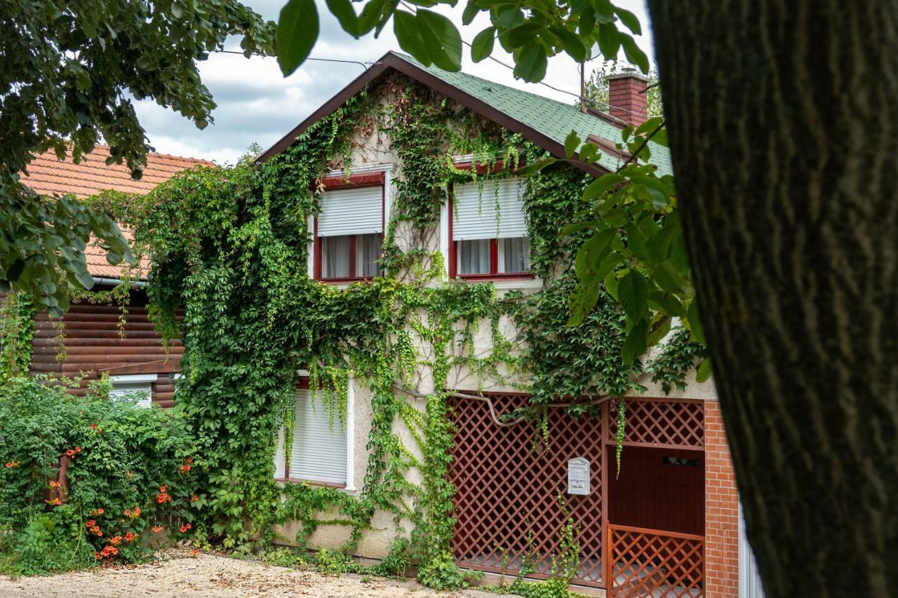 Vadszolo Apartmanhaz Gyomaendrőd 外观 照片